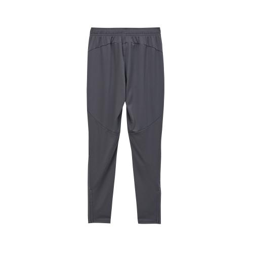 Preview: Schweiz Training Pants grau - 2024-25